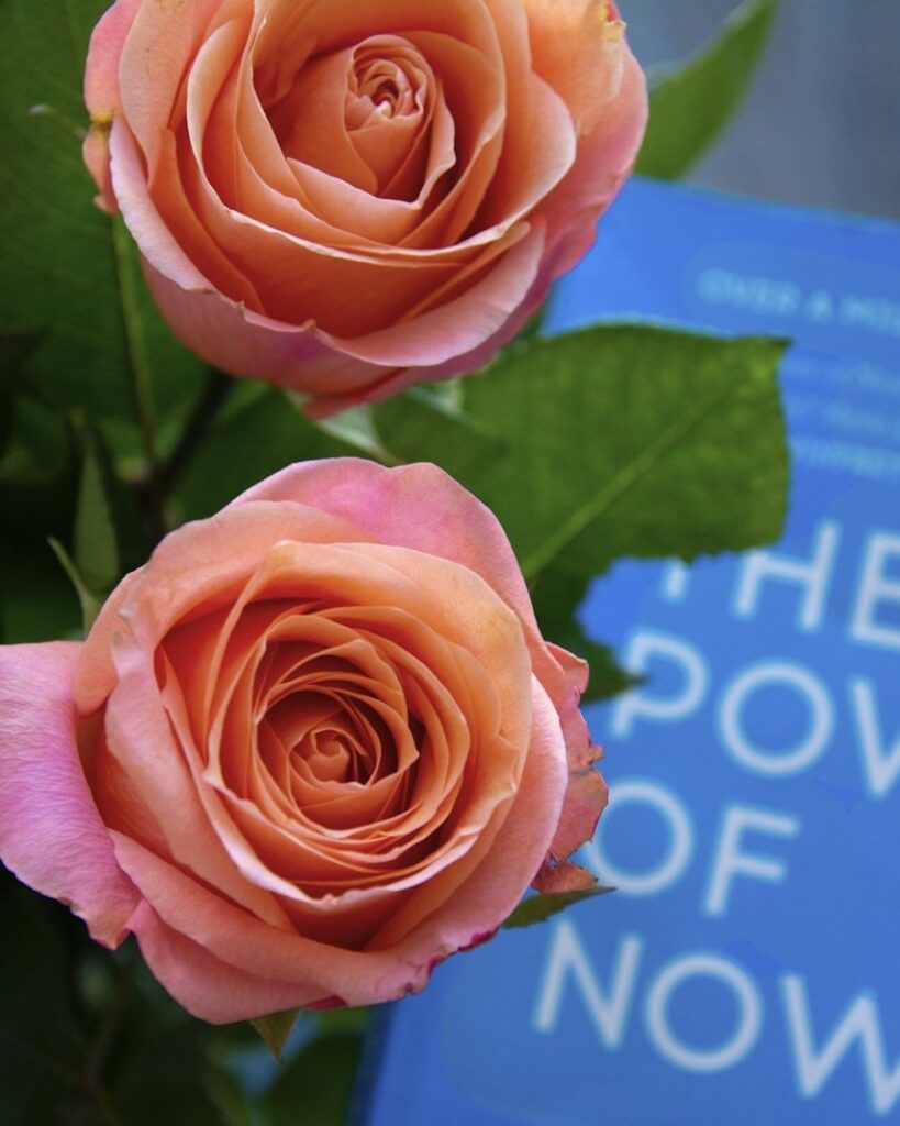 The Power of Now by Eckhart Tolle