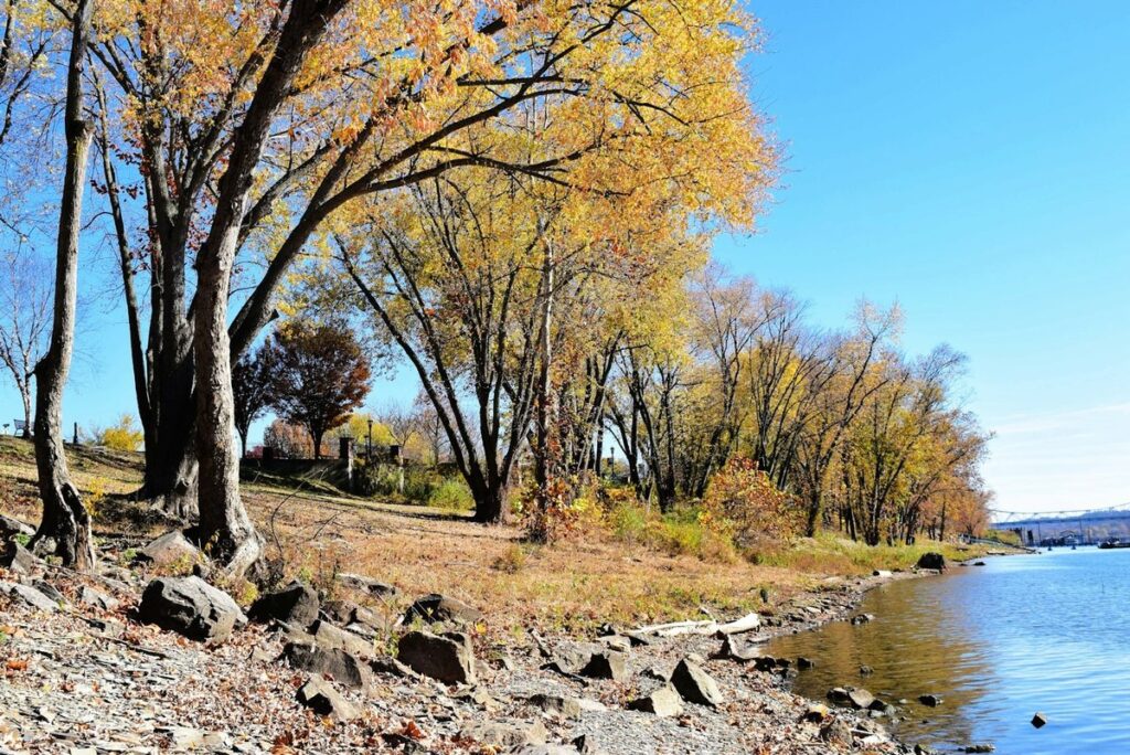 Autumn trees along the rocky north bank of the Ohio River at Madison, Indiana, looking across toward Kentucky