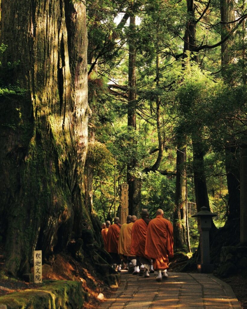 A line of monks in saffron robes, seen from behind, walking a stone path beneath giant cedars at Koyasan, Japan